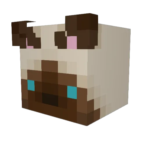 Rebeciu Minecraft avatar head, 3D render