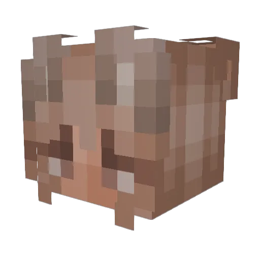 Rebekah_2345 Minecraft avatar head, 3D render