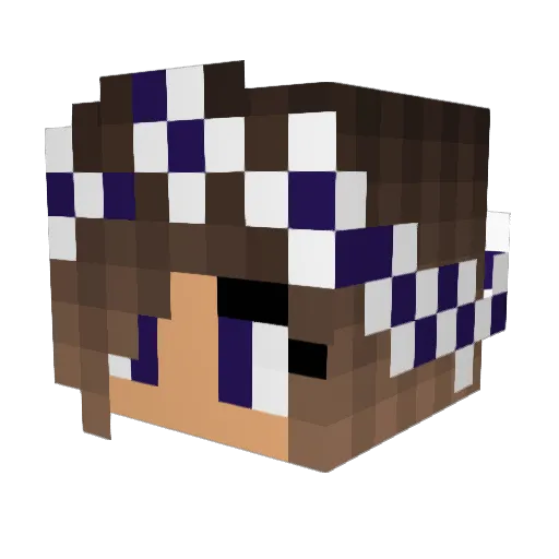 RebelCarton9488 Minecraft avatar head, 3D render