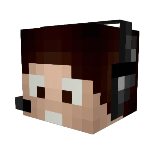 RebelCrafter_ Minecraft avatar head, 3D render