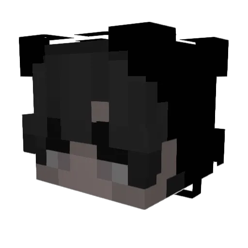 RebelDiesel Minecraft avatar head, 3D render
