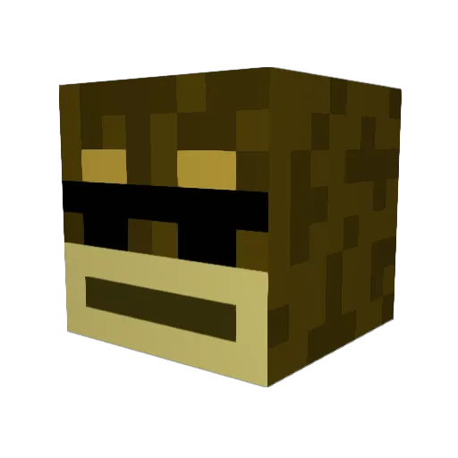 RebelMonkey25 Minecraft avatar head, 3D render