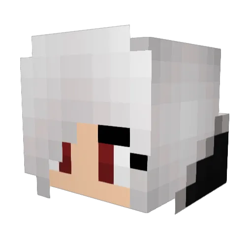 RebelNightmare_ Minecraft avatar head, 3D render