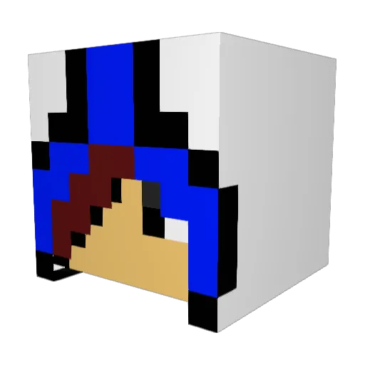 RebelRazorback Minecraft avatar head, 3D render