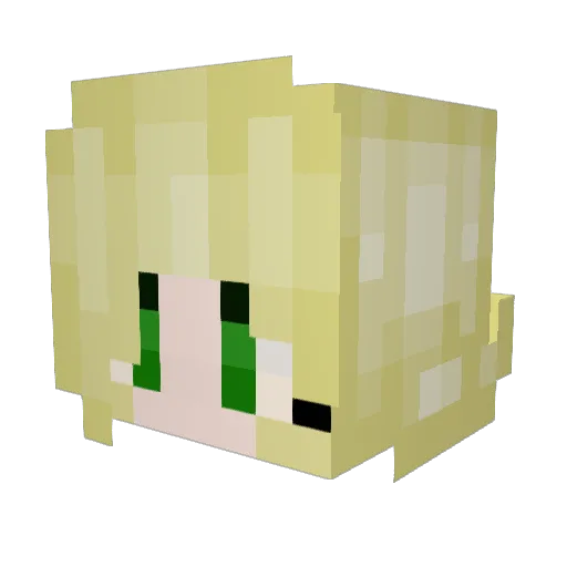 RebelWither Minecraft avatar head, 3D render