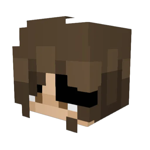 RebelWolf215 Minecraft avatar head, 3D render