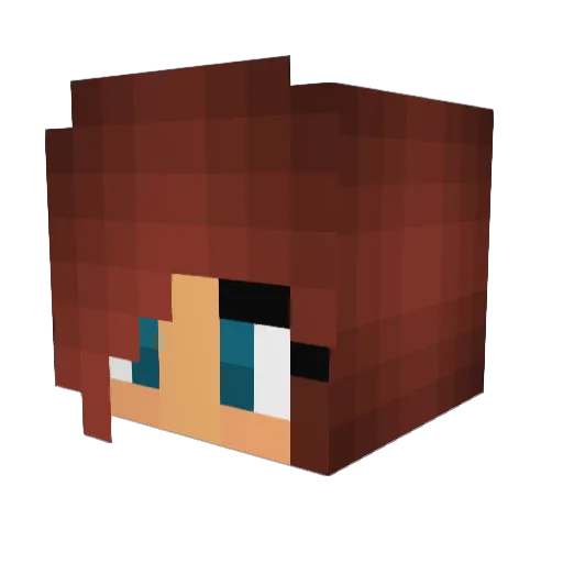 Rebel_11 Minecraft avatar head, 3D render