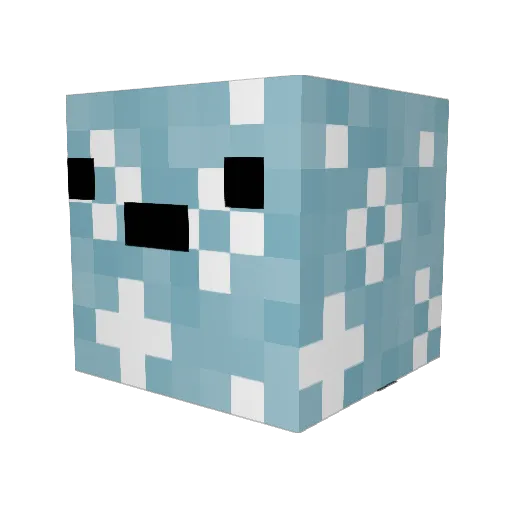 Rebel_Outlaw1022 Minecraft avatar head, 3D render