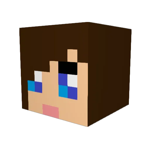 Rebelgurl Minecraft avatar head, 3D render