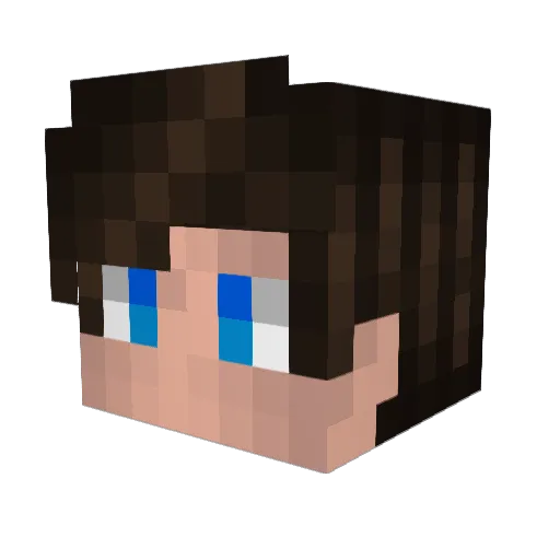 RebeliantEVO Minecraft avatar head, 3D render