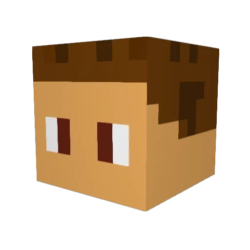 RebelliousTeen Minecraft avatar head, 3D render