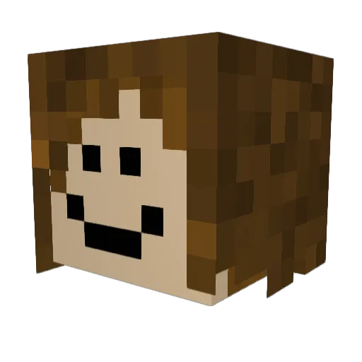 Rebidebbie Minecraft avatar head, 3D render