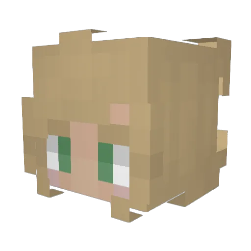 Rebloom404 Minecraft avatar head, 3D render