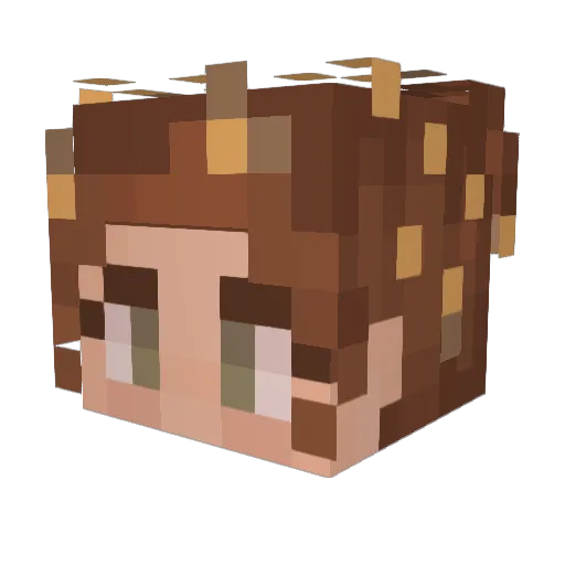 RebmemerTheMoon Minecraft avatar head, 3D render