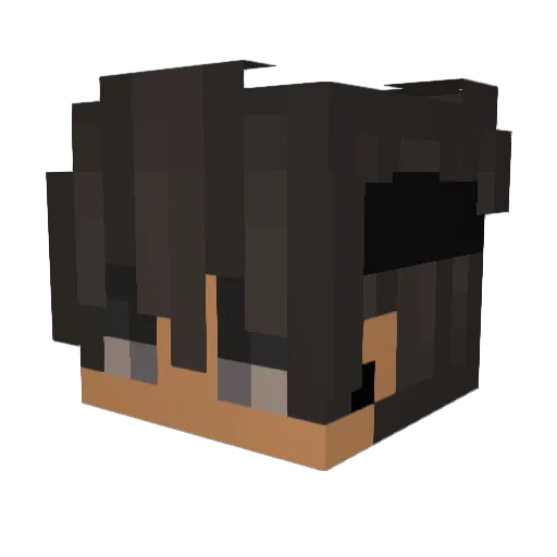 Rebolapvl Minecraft avatar head, 3D render