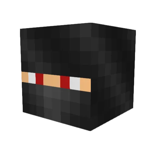 Reborc Minecraft avatar head, 3D render