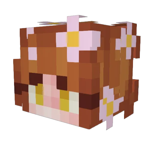 Reborker Minecraft avatar head, 3D render