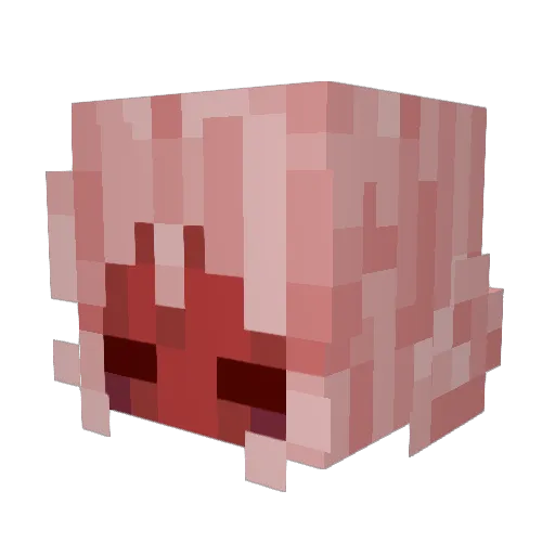 Reborn_N59 Minecraft avatar head, 3D render