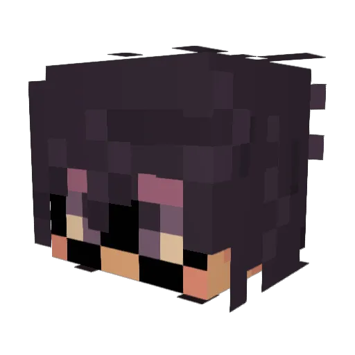 Rebs1082 Minecraft avatar head, 3D render