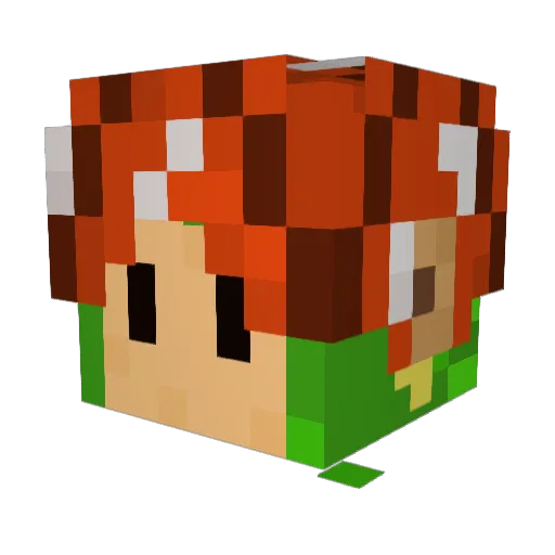 Rebuckaroo Minecraft avatar head, 3D render