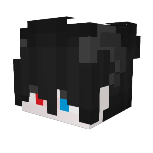Rec0245 Minecraft avatar head, 3D render