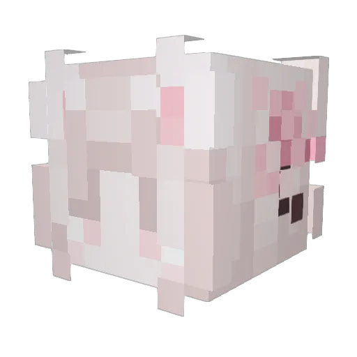 RecWriSum Minecraft avatar head, 3D render