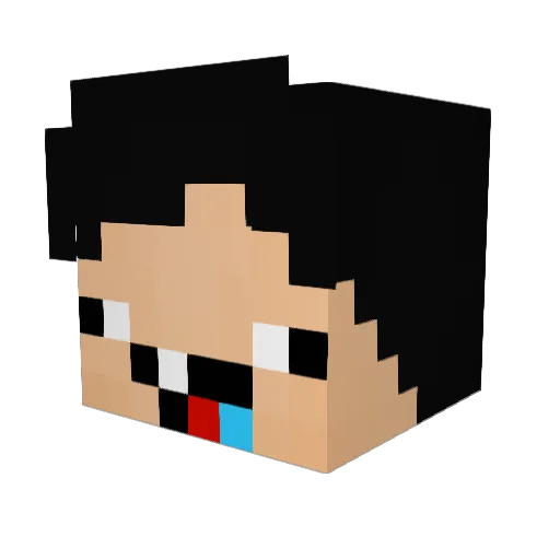 Rec_Gamer Minecraft avatar head, 3D render