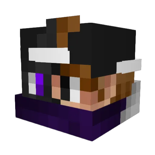 Rec_Sparrow Minecraft avatar head, 3D render