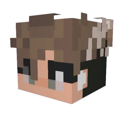 Reccate Minecraft avatar head, 3D render