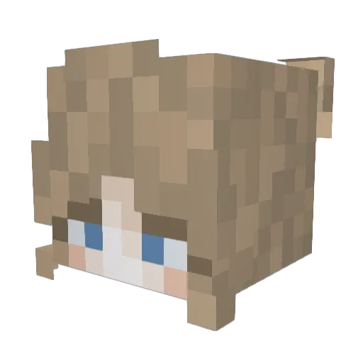 Reccun Minecraft avatar head, 3D render