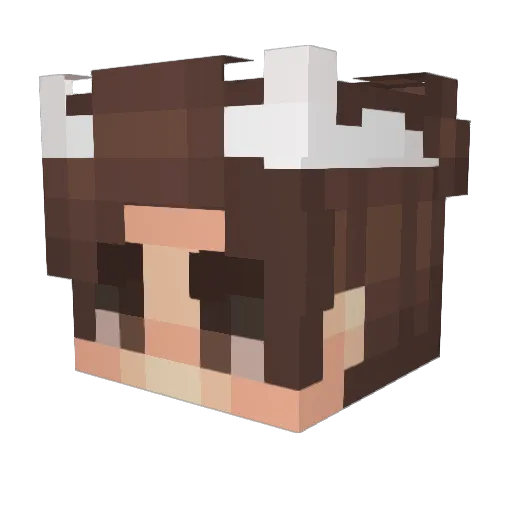 RecepBeyo_0 Minecraft avatar head, 3D render