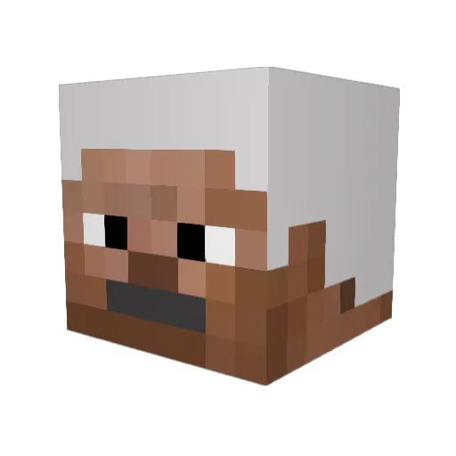 RecepTayipErdogn Minecraft avatar head, 3D render