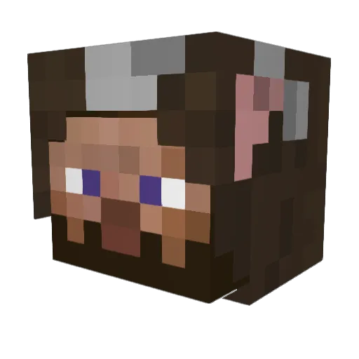 RecessedFoid Minecraft avatar head, 3D render
