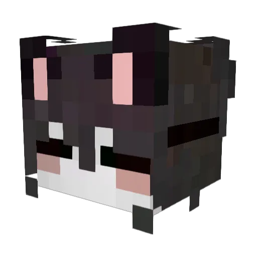 Rechenknecht_ Minecraft avatar head, 3D render