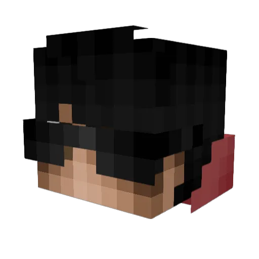 Rechtschreibung Minecraft avatar head, 3D render