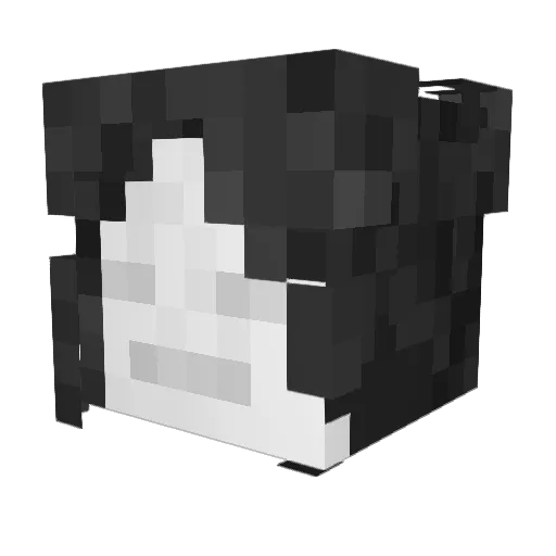 ReciScribble Minecraft avatar head, 3D render