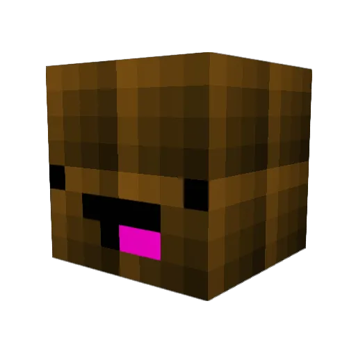 Reckless11 Minecraft avatar head, 3D render