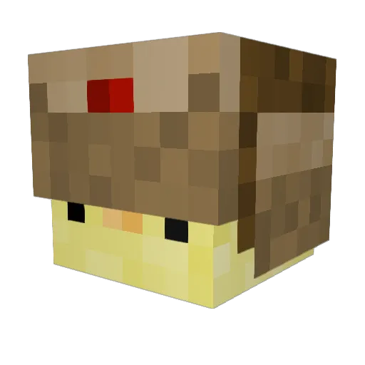 Reckniis Minecraft avatar head, 3D render