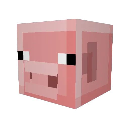 Reclaimer89 Minecraft avatar head, 3D render