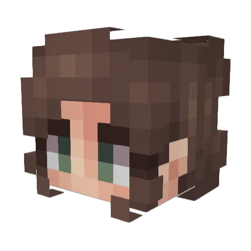 ReclessDock15 Minecraft avatar head, 3D render