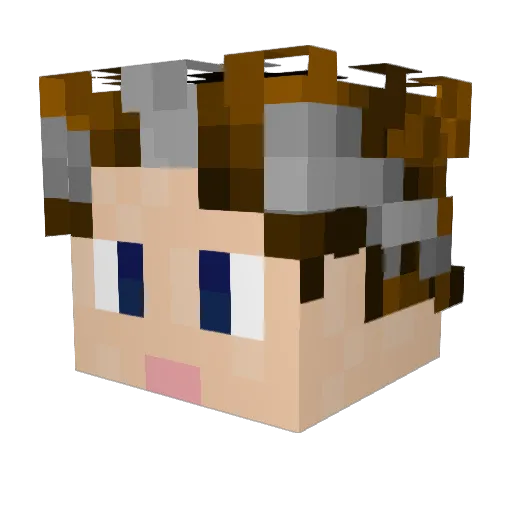 RecluseJay Minecraft avatar head, 3D render