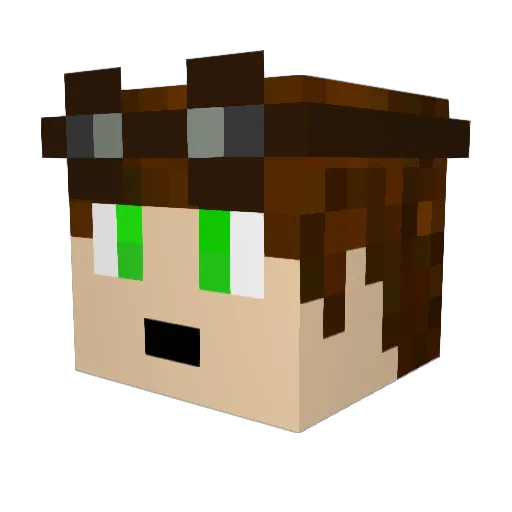 Recneps999 Minecraft avatar head, 3D render