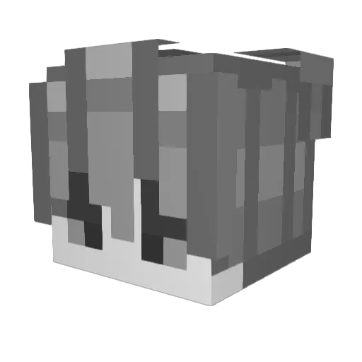 Recoun Minecraft avatar head, 3D render