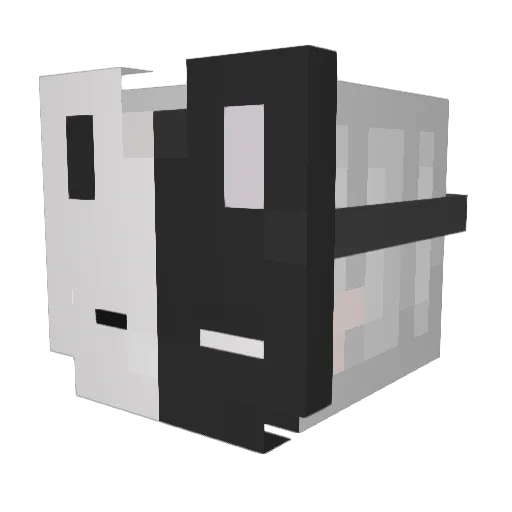 RecreoNee Minecraft avatar head, 3D render