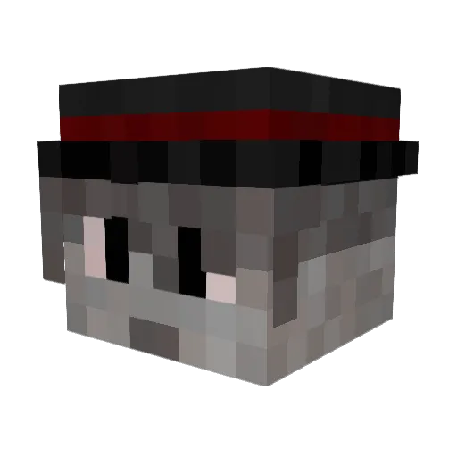Recruit_Chef Minecraft avatar head, 3D render