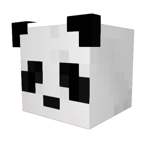Rectumreksa Minecraft avatar head, 3D render