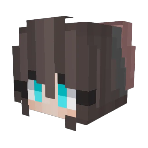 Red5335 Minecraft avatar head, 3D render