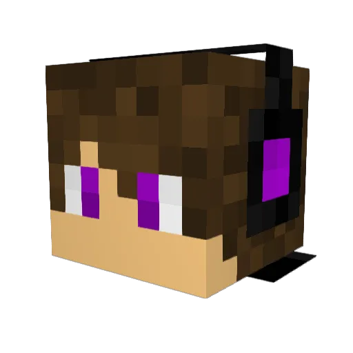 RedBandit215180 Minecraft avatar head, 3D render