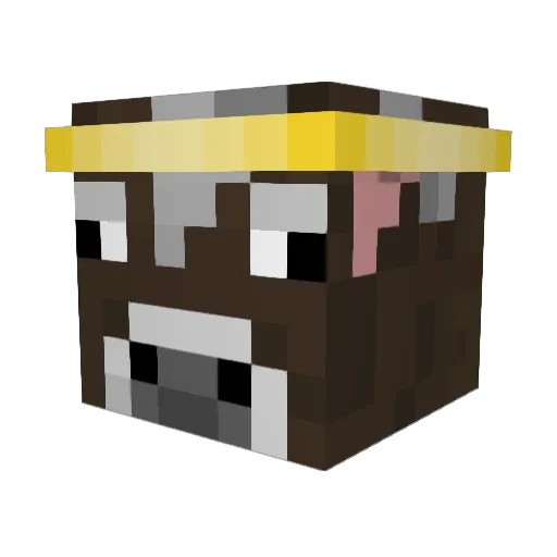 RedBaron2255 Minecraft avatar head, 3D render