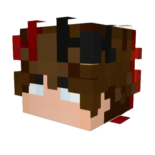 RedBlack__ Minecraft avatar head, 3D render